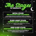 hibernate-sleep-supplement-complete-opti-5.jpg