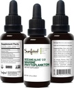 sunfood-marine-phytoplankton-supplement--6.jpg
