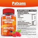 1-pack-cholesterol-support-gummies-conta-2.jpg