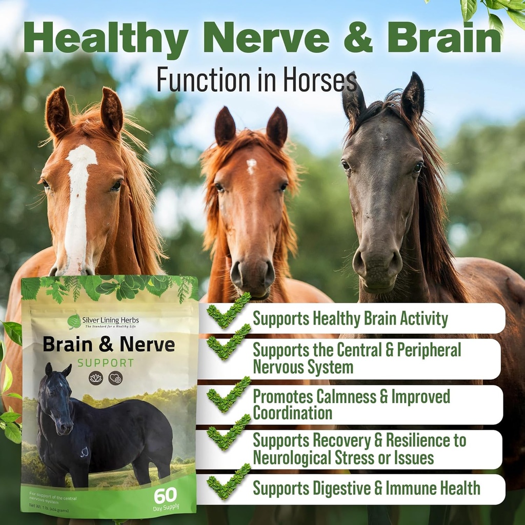 silver-lining-herbs-brain-nerve-support--2.jpg