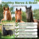 silver-lining-herbs-brain-nerve-support--2.jpg