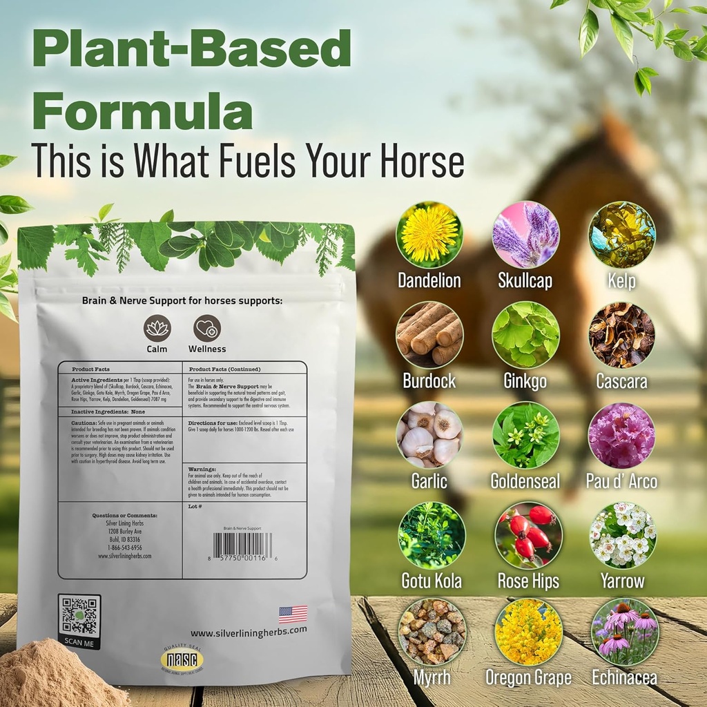 silver-lining-herbs-brain-nerve-support--3.jpg