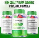 hemp-leaf-gummies---official-formula---h-2.jpg