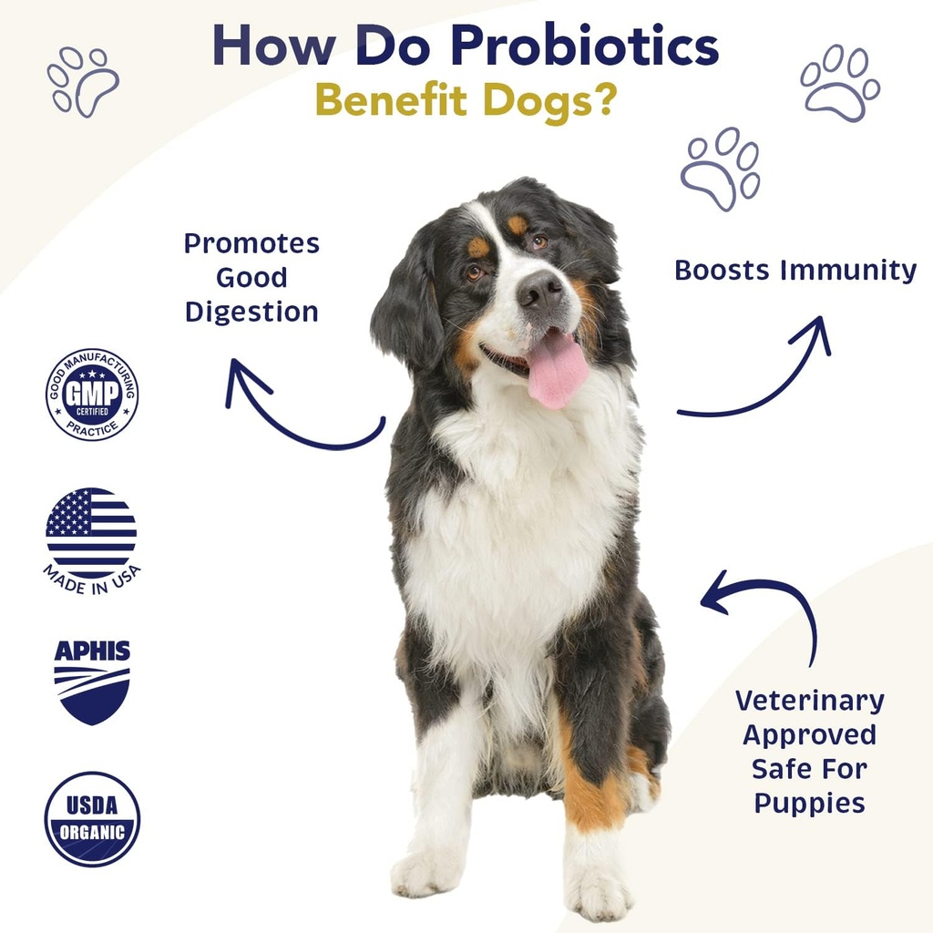 probiotics-for-dogs-digestive-health-chi-3.jpg