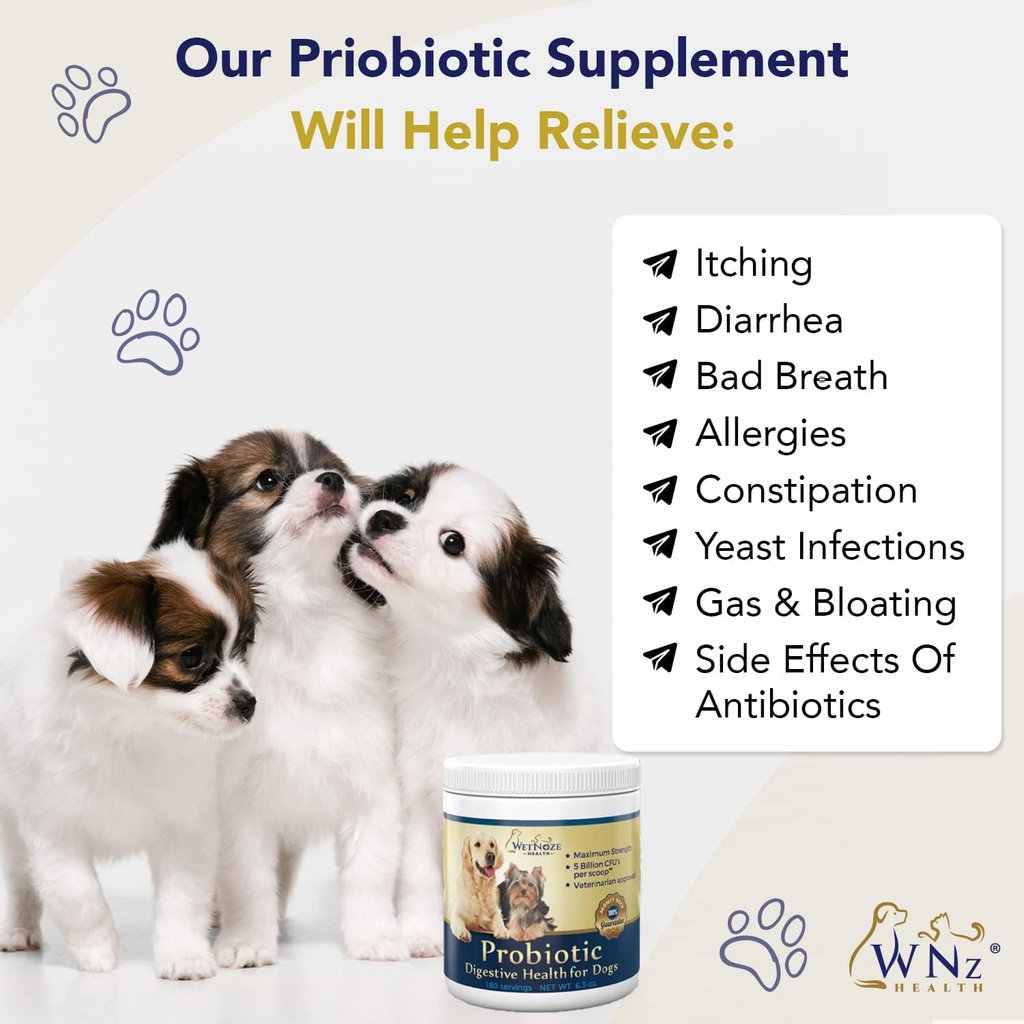 probiotics-for-dogs-digestive-health-chi-4.jpg
