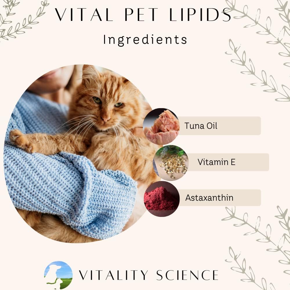vitality-science-flex-n-free-vital-pet-l-3.jpg