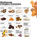 vita-globe-mushroom-complex-gummies-250m-2.jpg