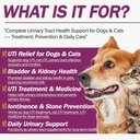 natural-uti-treatment-for-cats-dogs-anti-2.jpg