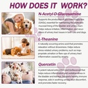 natural-uti-treatment-for-cats-dogs-anti-3.jpg