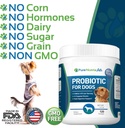 dog-probiotics-dog-supplements---for-dog-5.jpg