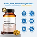 liposomal-berberine-supplement-1500mglip-4.jpg