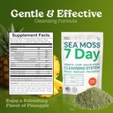 atlantic-naturals-sea-moss-7-day-detox-l-3.jpg