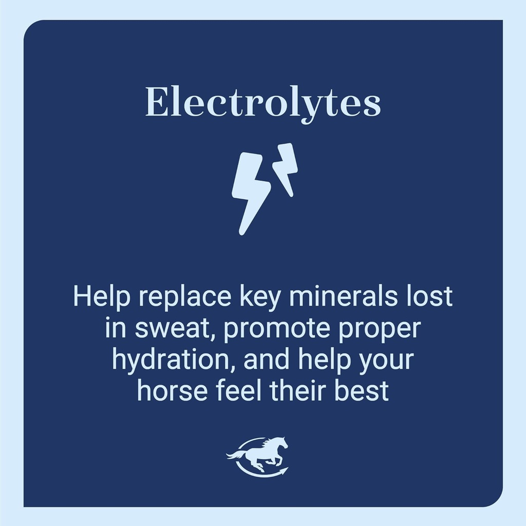 smartlytes-paste-horse-electrolyte-paste-5.jpg