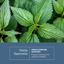 eclectic-herb---nettle-quercetin-capsule-3.jpg