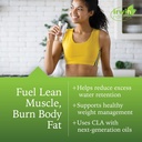 irwin-naturals-cla-lean-body-fat-reducti-2.jpg