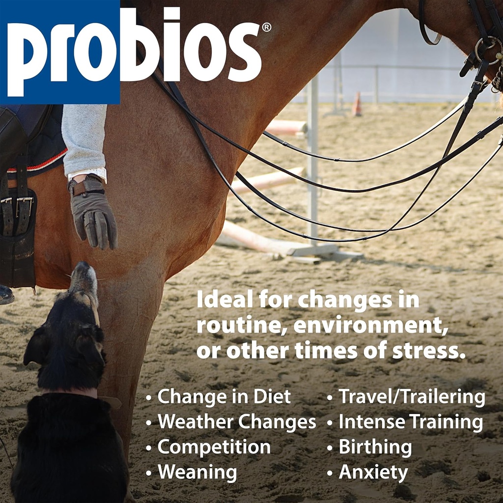probios-for-horses-soft-chews-daily-prob-6.jpg