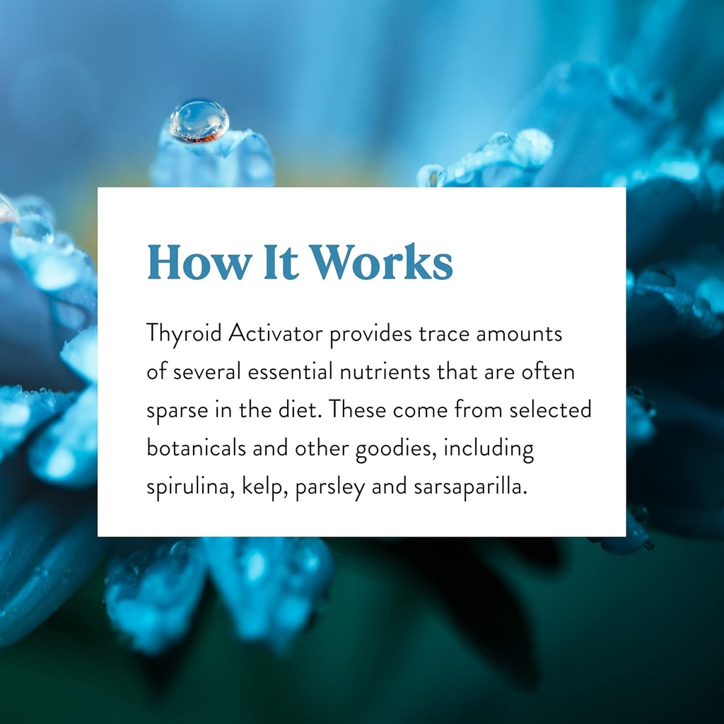 natures-sunshine-thyroid-activator-100-c-6.jpg