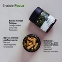 palo-focus-brain-booster-natural-supplem-2.jpg