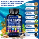 2-pack-organic-sea-moss-capsules---conta-3.jpg