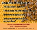 dr-ohhiras-propolis-plus-30-capsules-wit-4.jpg