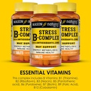mason-natural-stress-bcomplex-with-antio-4.jpg