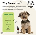 forever-puppy-senior-dogs-drops---immune-6.jpg