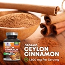 organic-ceylon-cinnamon-supplement-1800m-3.jpg