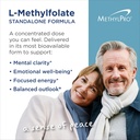 methylpro-l-methylfolate-1-mg---l-methyl-3.jpg