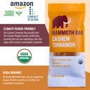 cashew-cinnamon-bar--organic-paleo-glute-6.jpg