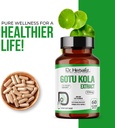 dr-herbalist-gotu-kola-extract-550mg-60--5.jpg