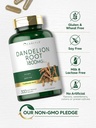 carlyle-dandelion-root-1800mg-300-capsul-4.jpg