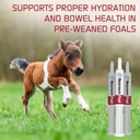 jaguar-animal-health-foal---equine-suppl-6.jpg