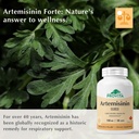 provita-artemisinin-pro-immune-support-s-3.jpg