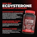 ecdysterone-supplement-natural-muscle-bu-2.jpg