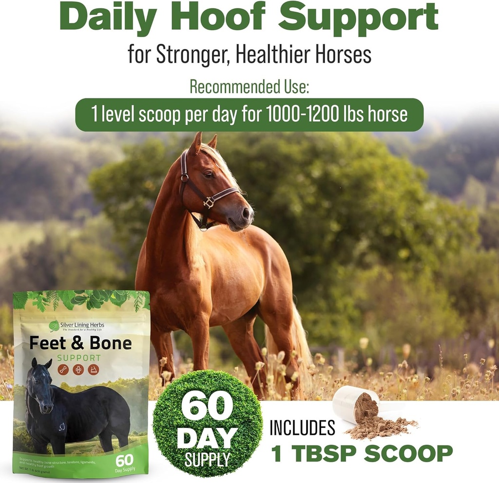 silver-lining-herbs-feet-bone-support-ho-4.jpg
