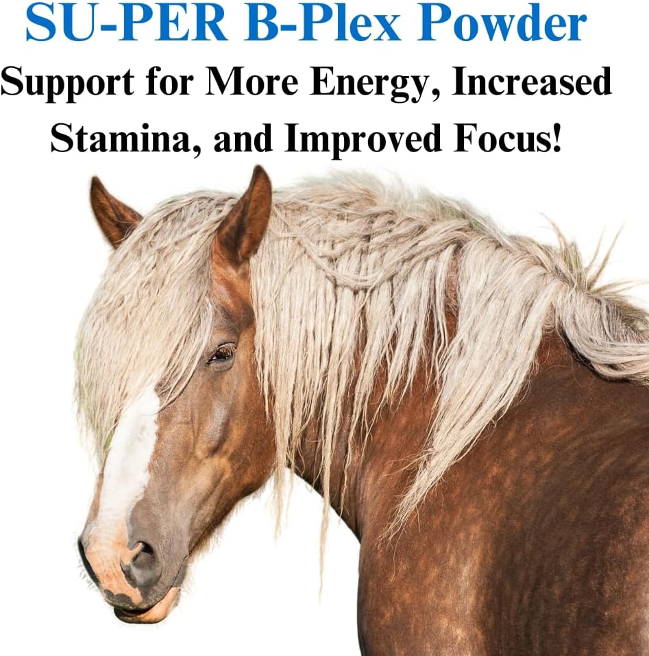 su-per-b-plex-powder-equine-vitamins---c-2.jpg