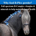su-per-b-plex-powder-equine-vitamins---c-4.jpg