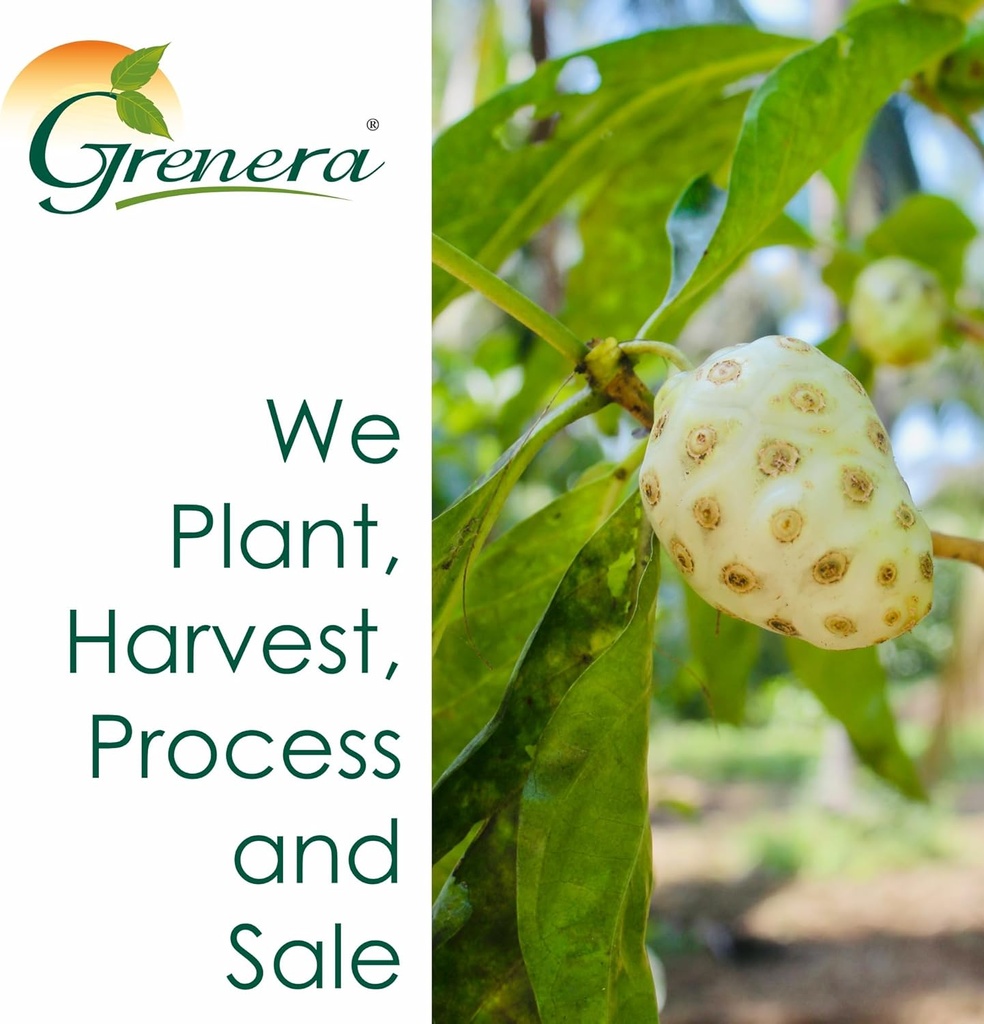 grenera-noni-fruit-capsules-120-count-no-4.jpg
