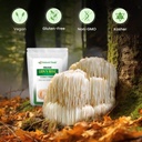 z-natural-foods-organic-lions-mane-mushr-5.jpg