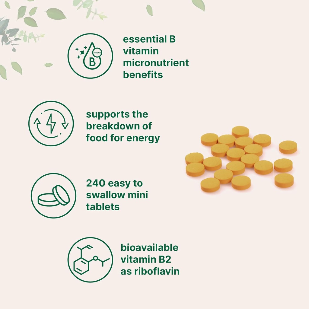 micro-ingredients-riboflavin-vitamin-b2--3.jpg