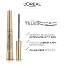 2-x-loreal-paris-telescopic-high-precisi-3.jpg