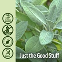 natures-answer-sage-leaf-with-organic-al-5.jpg