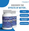 stem-cell---celulas-madres-supplement-fo-3.jpg