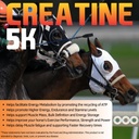 creatine-5k---energy-muscle-support-reco-2.jpg