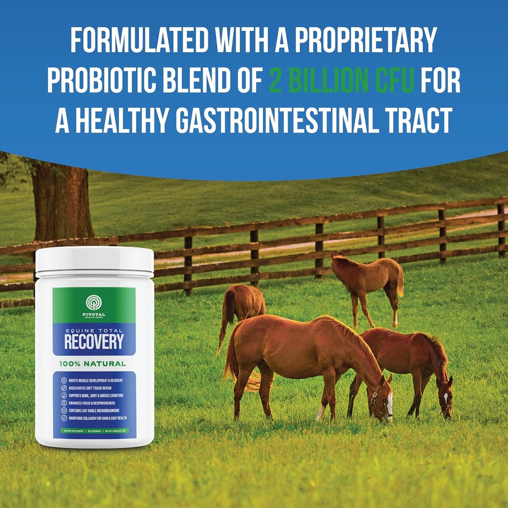 equine-total-recovery-horse-supplement---6.jpg