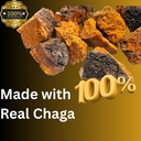 magmushroom-chaga-mushroom-extract-liqui-5.jpg