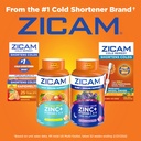 zicam-sleep-immune-support-pack-of-2-6.jpg