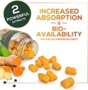 turmeric-curcumin-supplement-gummies---9-5.jpg