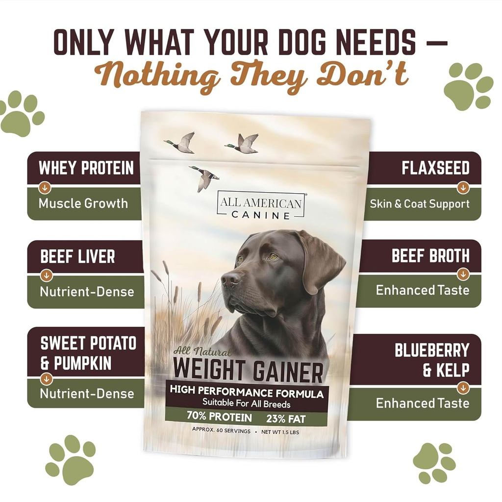 dog-weight-gainer-high-calorie-dog-food--3.jpg