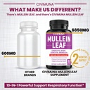 2-packs-mullein-leaf-capsules-6850mg---m-4.jpg